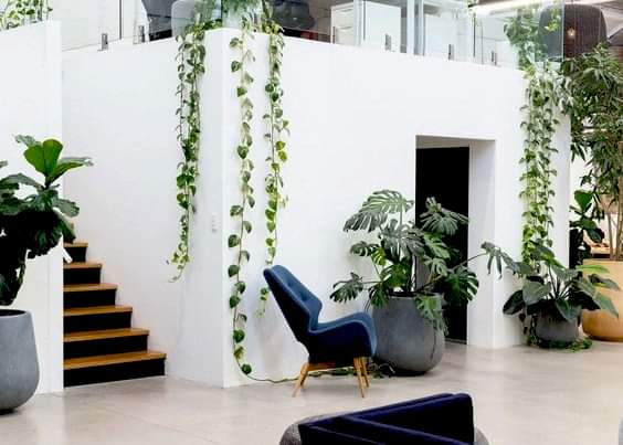 All the commercial design trends of 2019